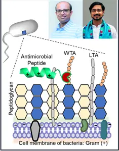 Detecting Bacteria 40x Faster: IIT Ropar Leads